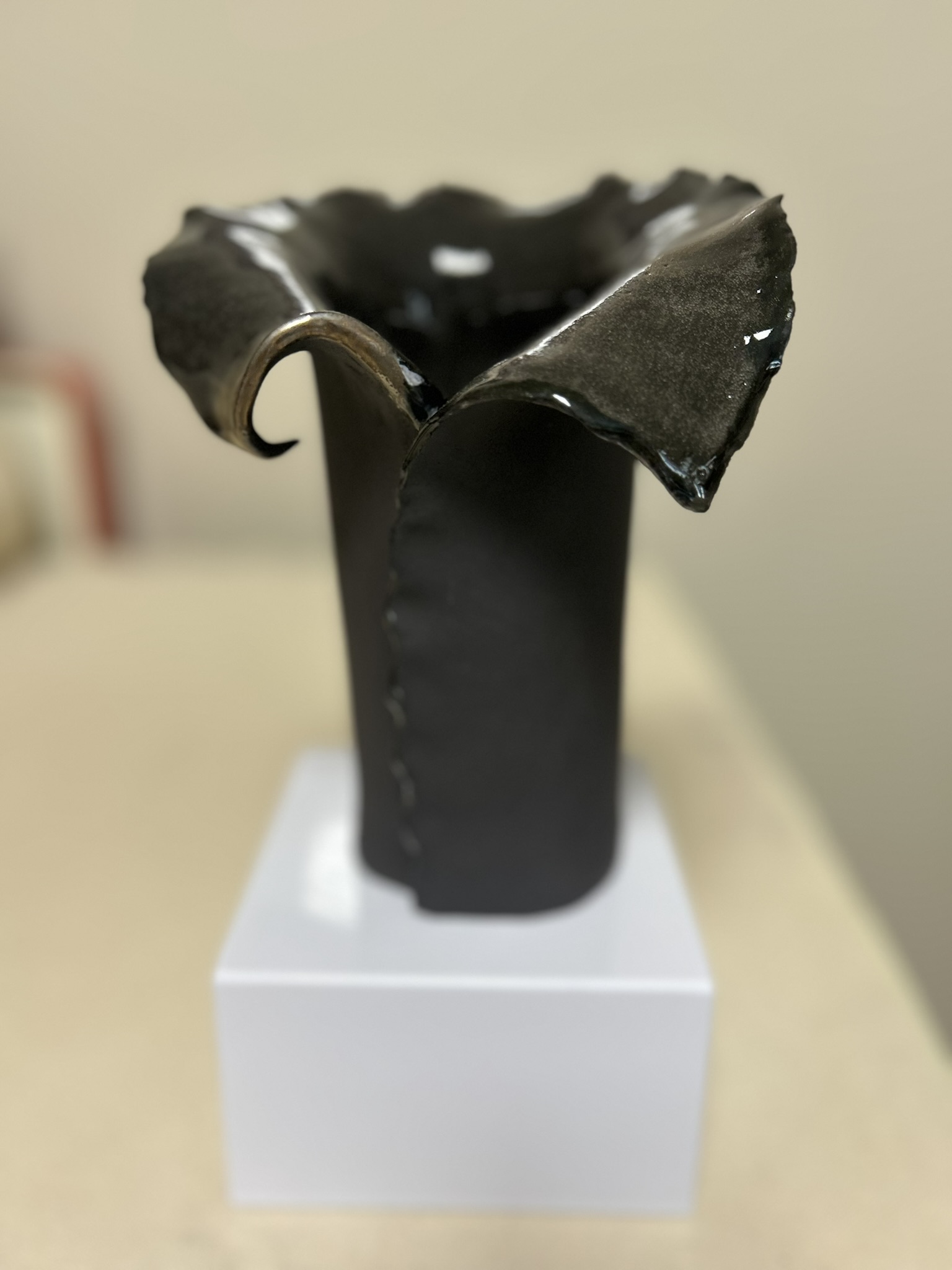 Vase PLUMA NEGRA